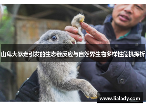 山兔大暴走引发的生态链反应与自然界生物多样性危机探析