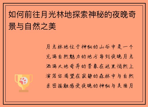 如何前往月光林地探索神秘的夜晚奇景与自然之美