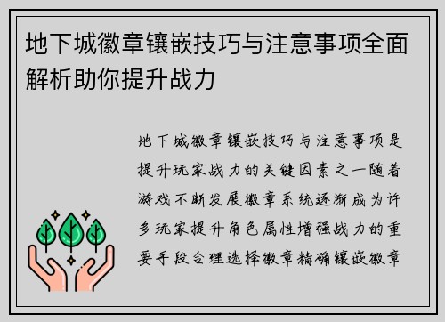 地下城徽章镶嵌技巧与注意事项全面解析助你提升战力 地下城徽章镶嵌技巧与注意事项全面解析助你提升战力
